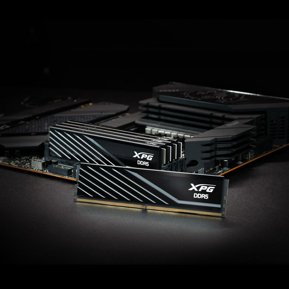 RAM Memory Adata AX5U6000C3616G-DTLABBK