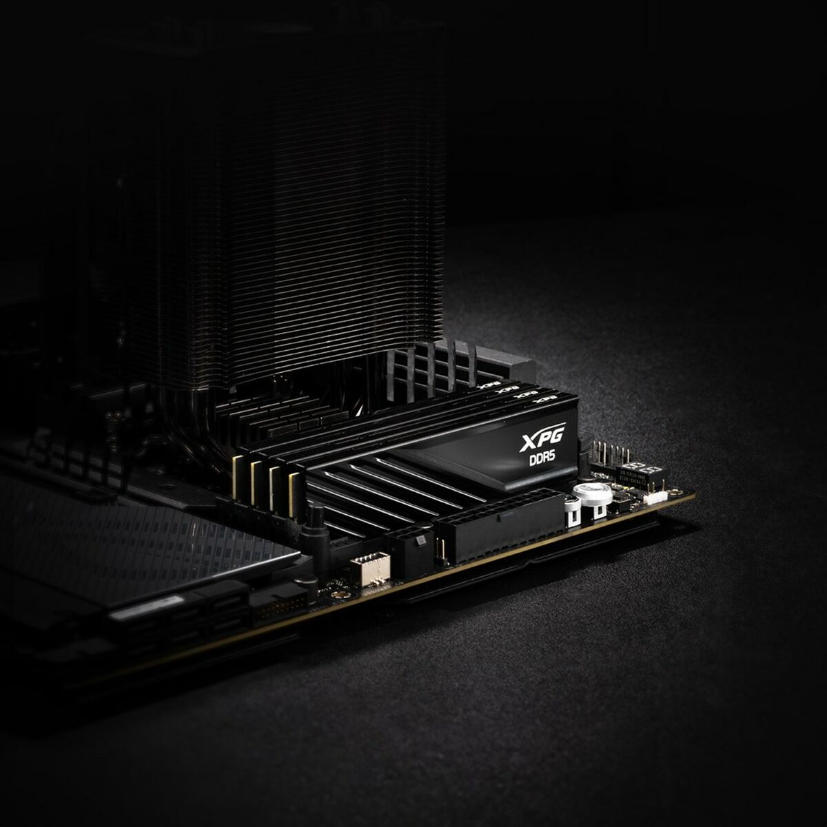 RAM Memory Adata AX5U6000C3616G-DTLABBK