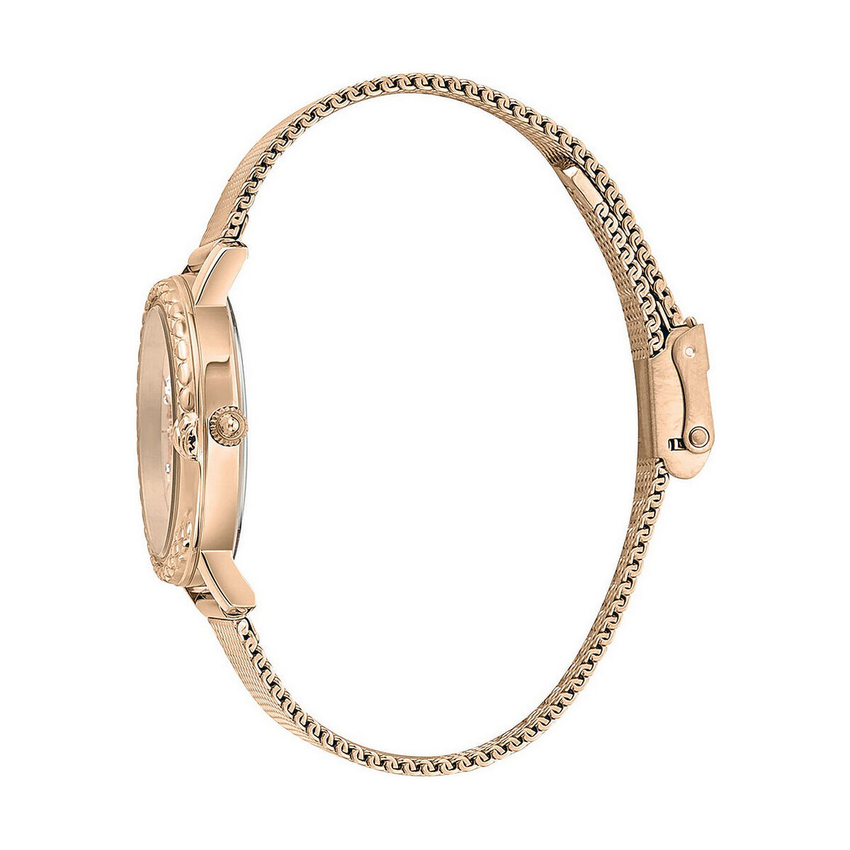 Ladies’ Watch Just Cavalli SNAKE ( 32 mm)