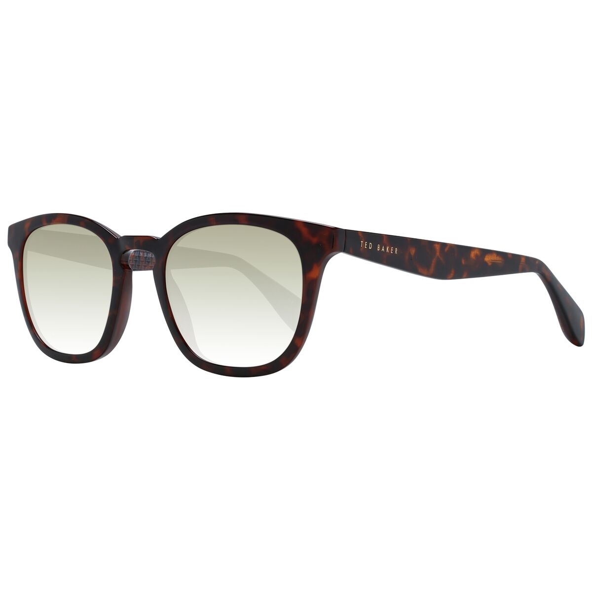 Men’s Sunglasses Ted Baker TB1683 50110