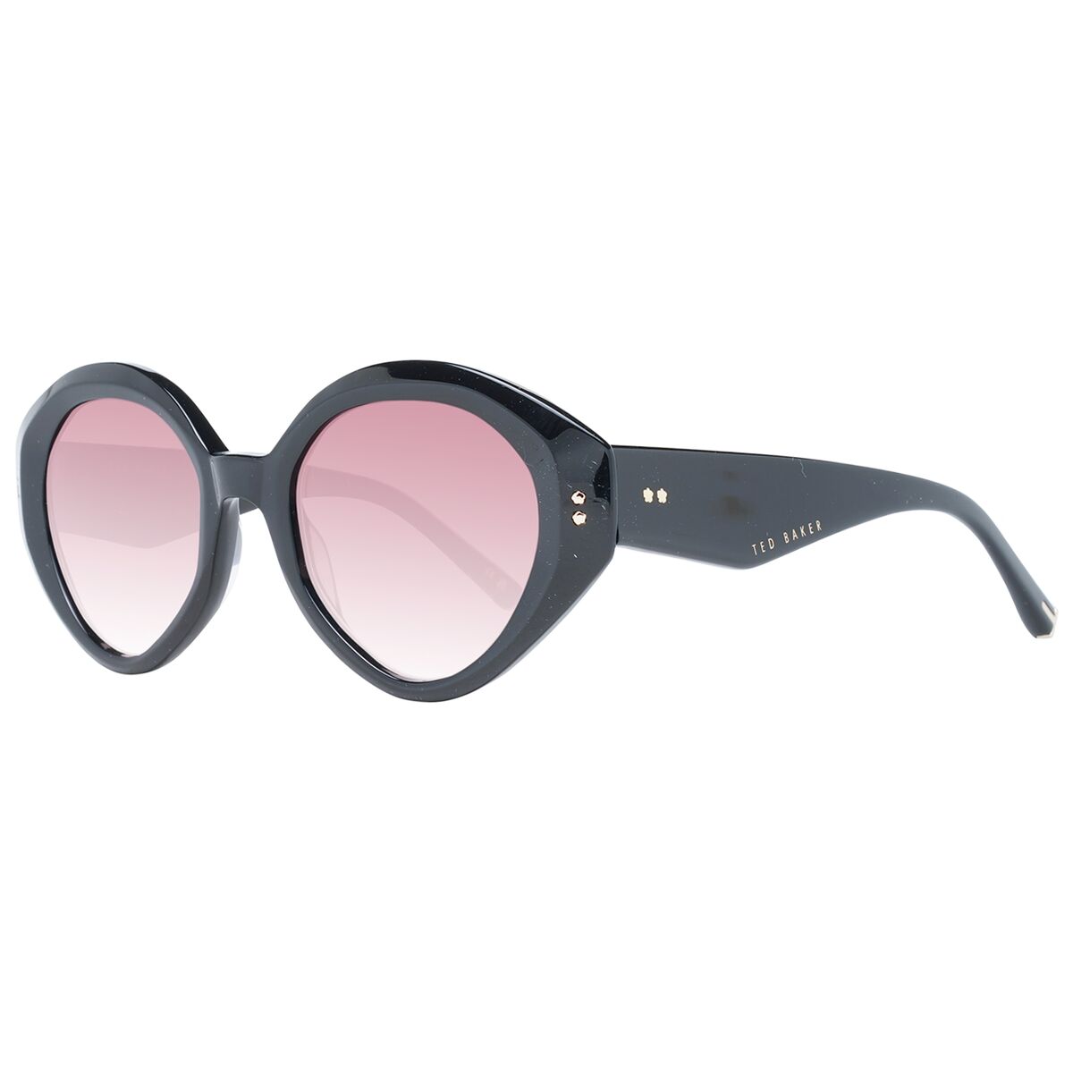 Ladies’ Sunglasses Ted Baker TB1698 51001 Ladies’ Sunglasses Ted Baker TB1698 51001