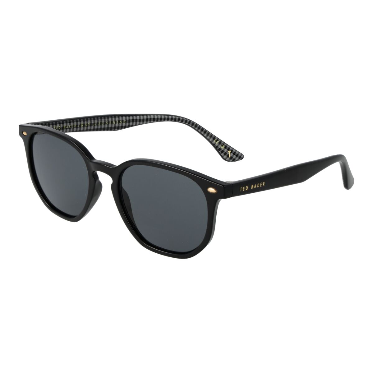 Men’s Sunglasses Ted Baker TB1655 52001