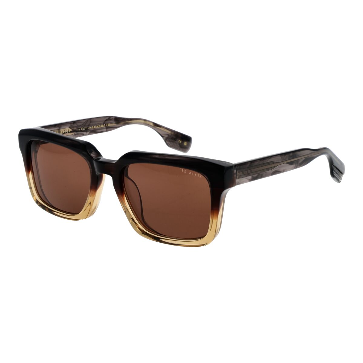 Men’s Sunglasses Ted Baker TB1718 54101