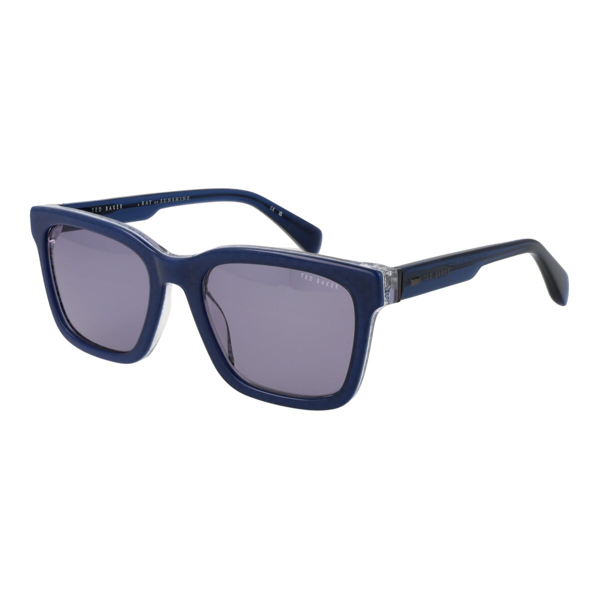 Men’s Sunglasses Ted Baker TB1722 55691