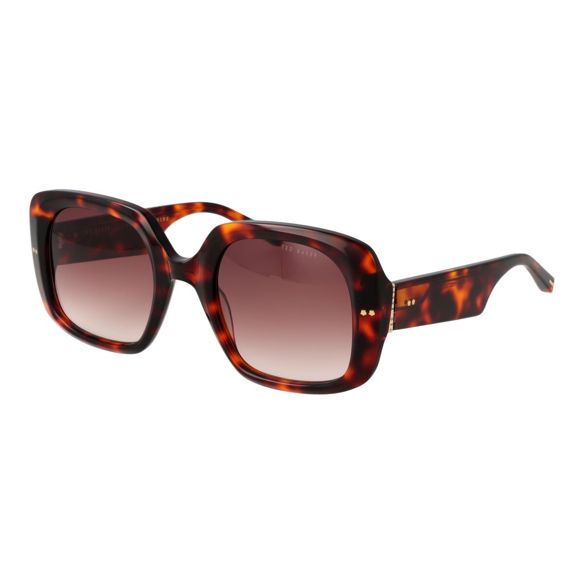 Ladies’ Sunglasses Ted Baker TB1730 53100 Ladies’ Sunglasses Ted Baker TB1730 53100