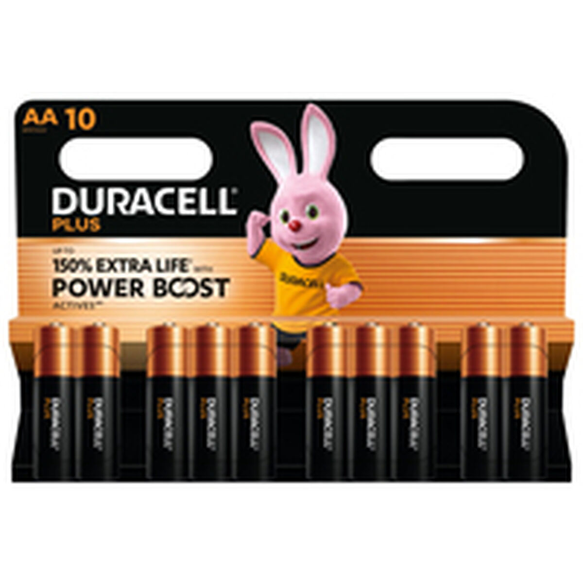 Rechargeable Batteries DURACELL DPBLR6B10 1,5 V