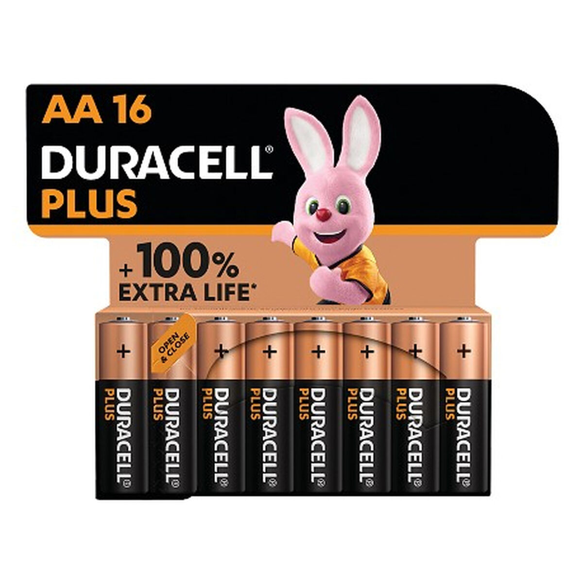 Rechargeable Batteries DURACELL DPBLR6B16 1,5 V