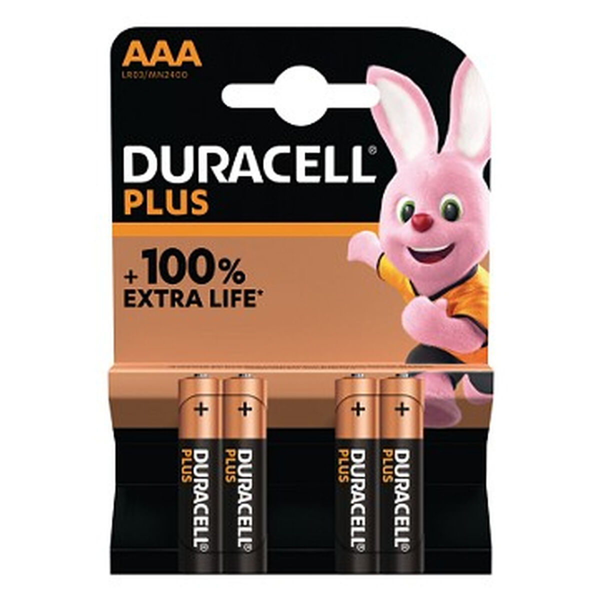 Rechargeable Batteries DURACELL Rechargeable Batteries DURACELL