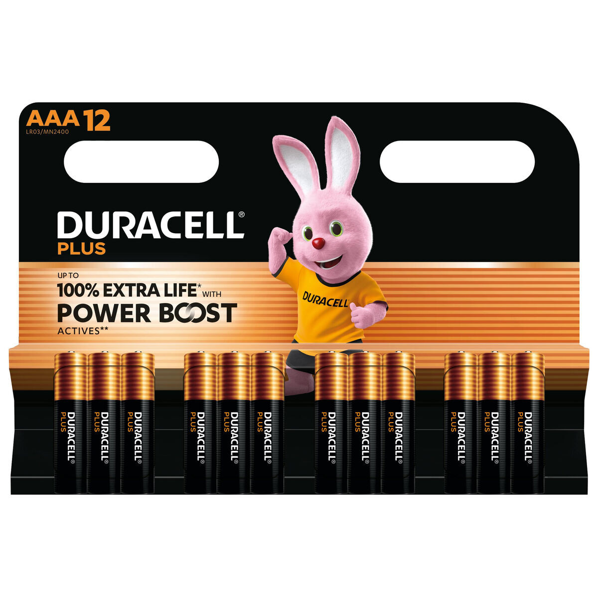 Rechargeable Batteries DURACELL DPBLR3B12 1,5 V AAA