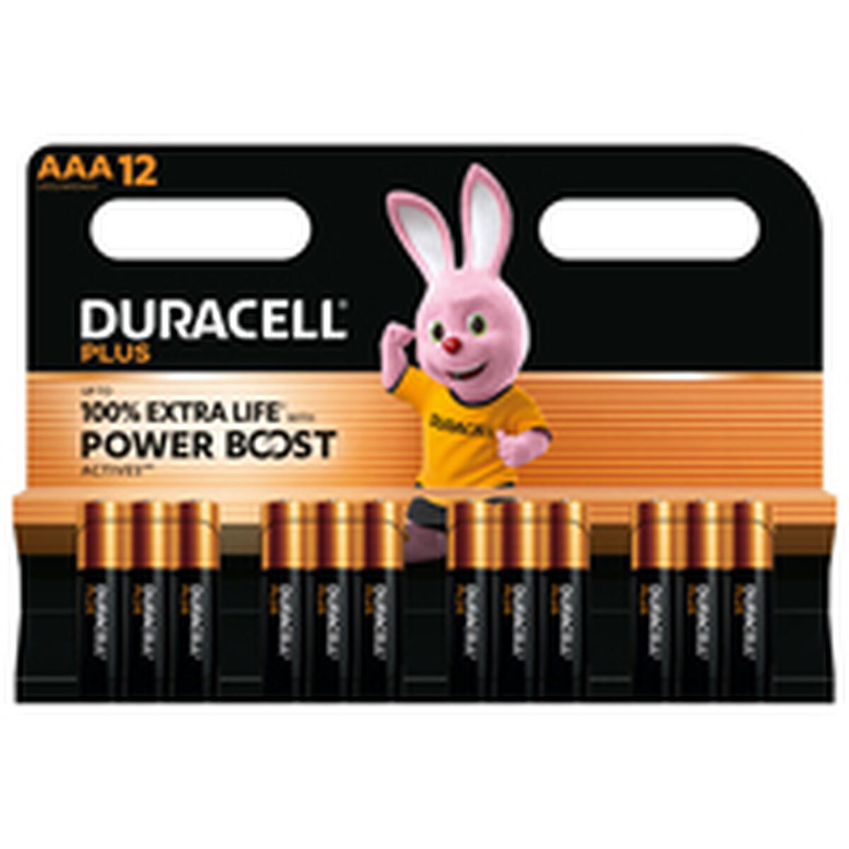 Rechargeable Batteries DURACELL DPBLR3B12 1,5 V AAA