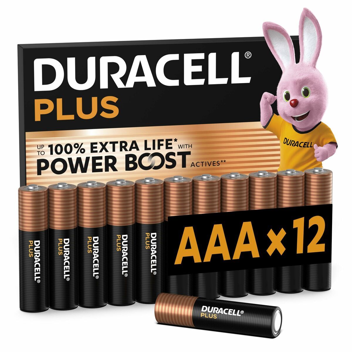 Rechargeable Batteries DURACELL DPBLR3B12 1,5 V AAA