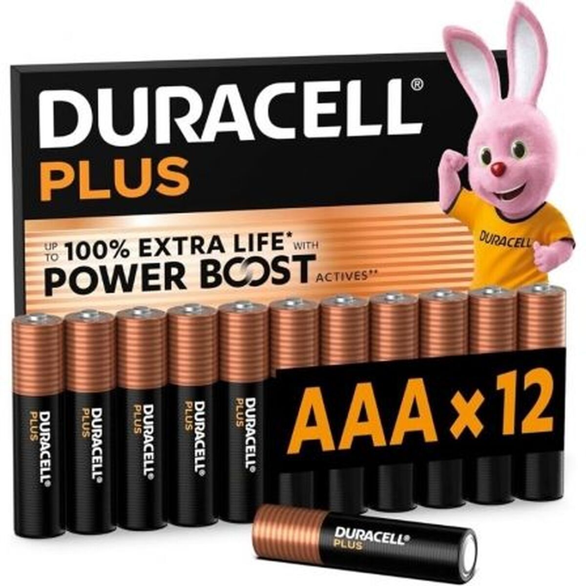 Rechargeable Batteries DURACELL DPBLR3B12 1,5 V AAA