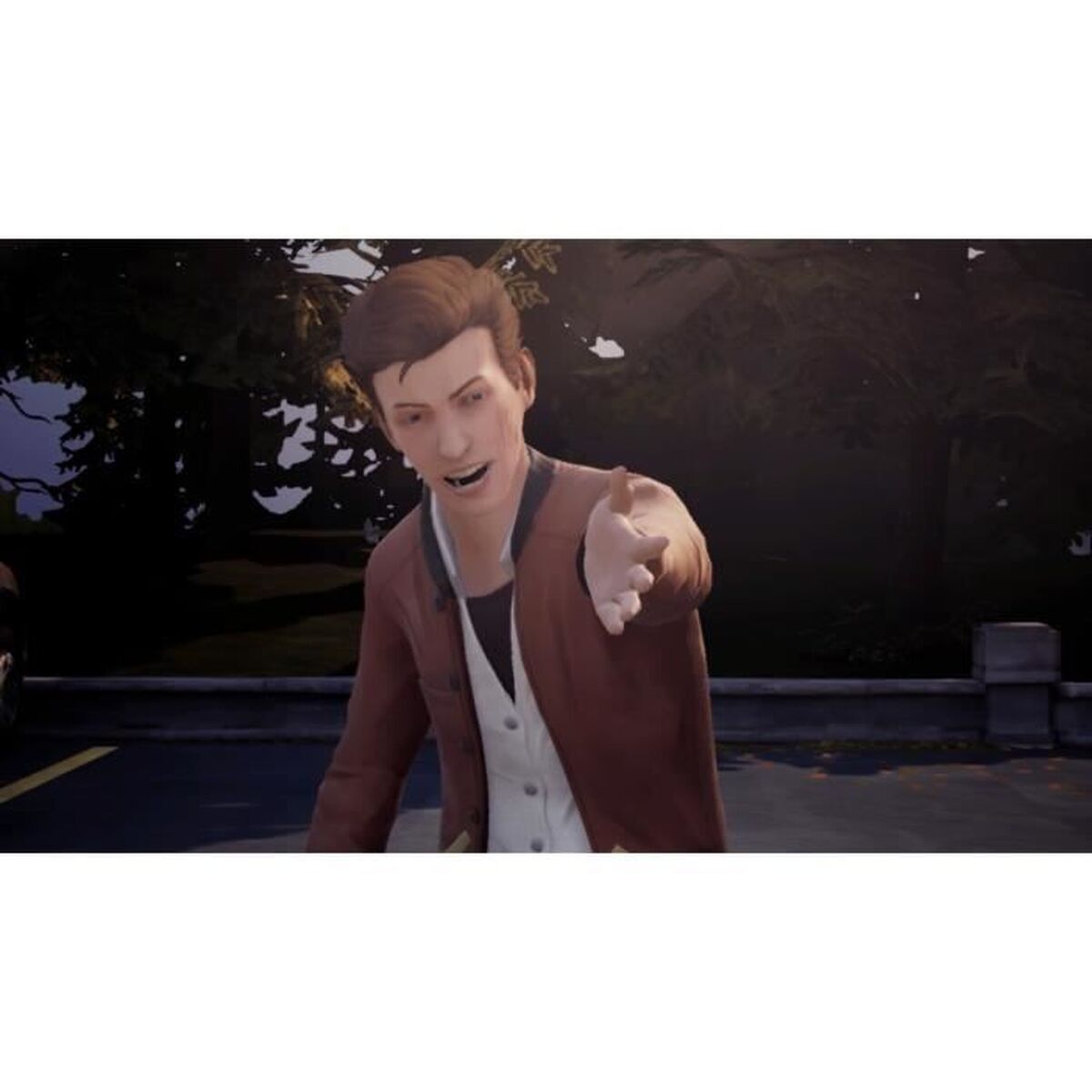 Video game for Switch Square Enix Life is Strange Arcadia Bay Collection