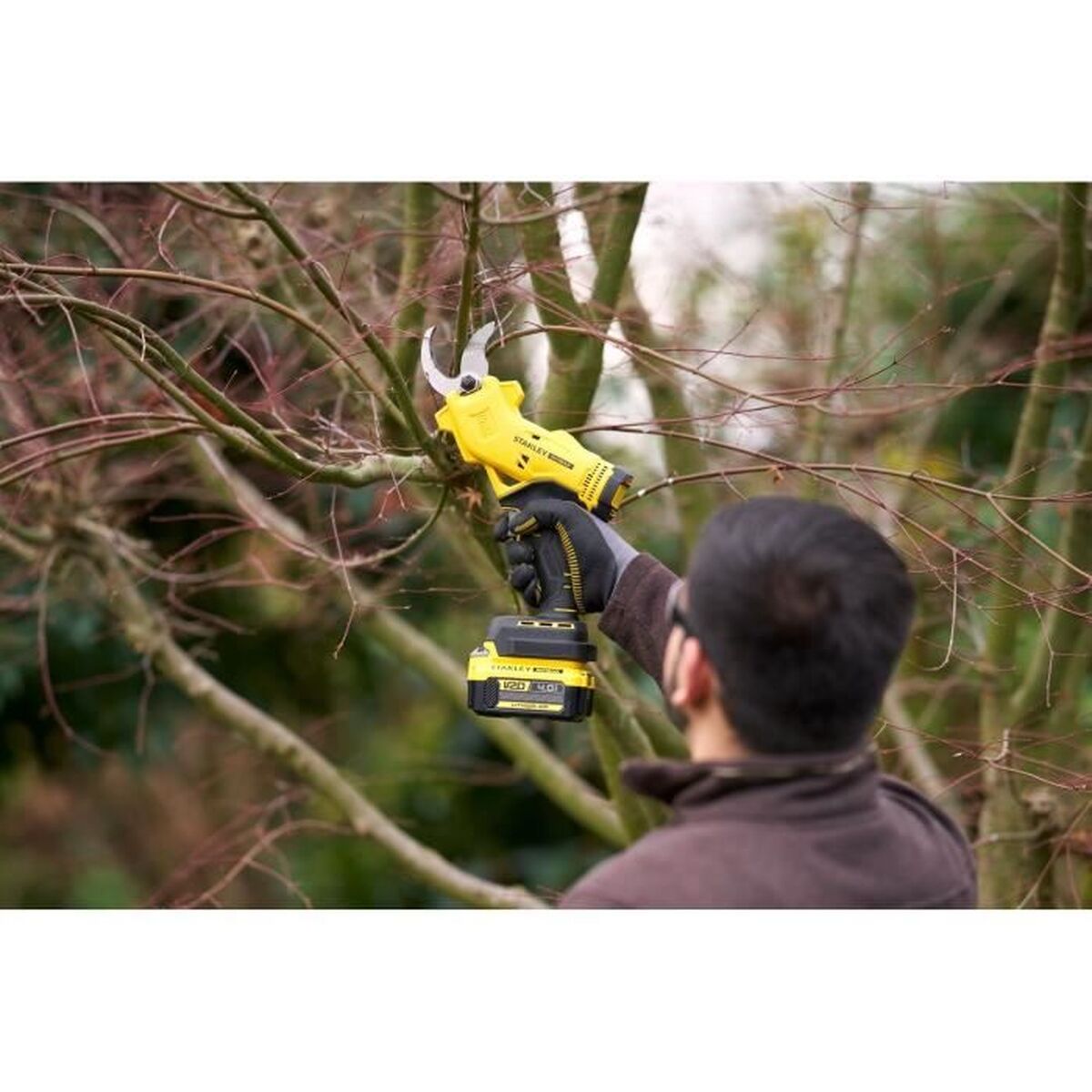 Pruning Shears Stanley