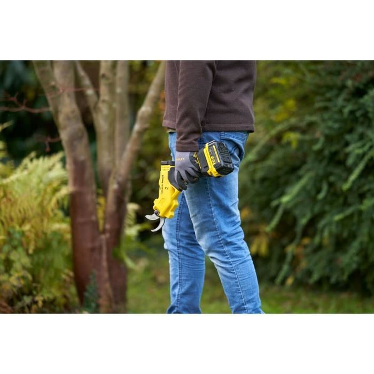 Pruning Shears Stanley