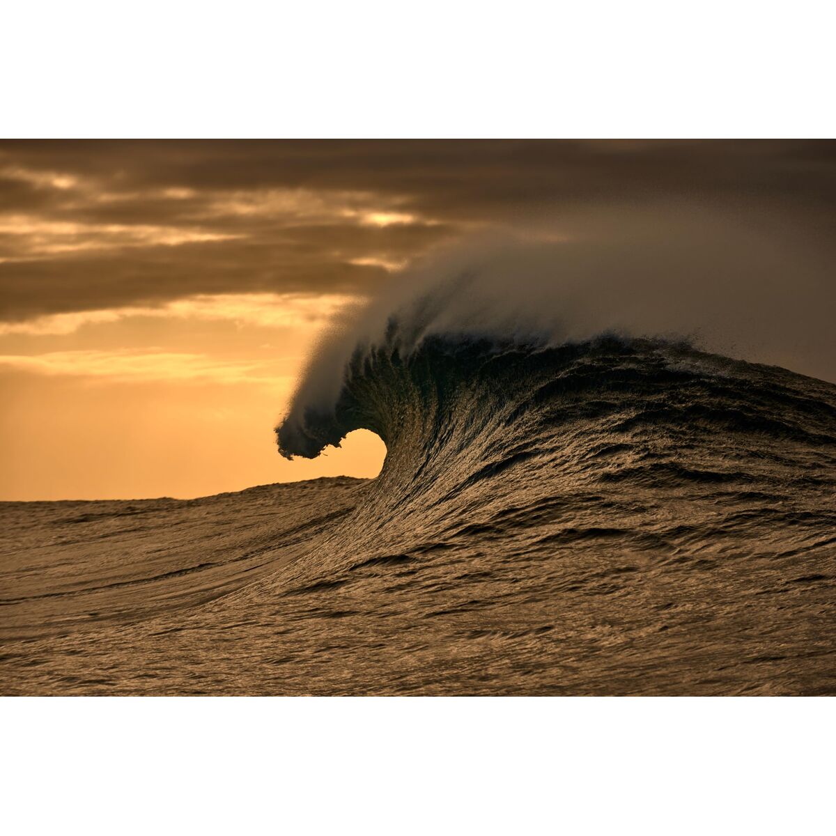 Ladies’ Spectacle frame O’Neill ONB-4031 52107