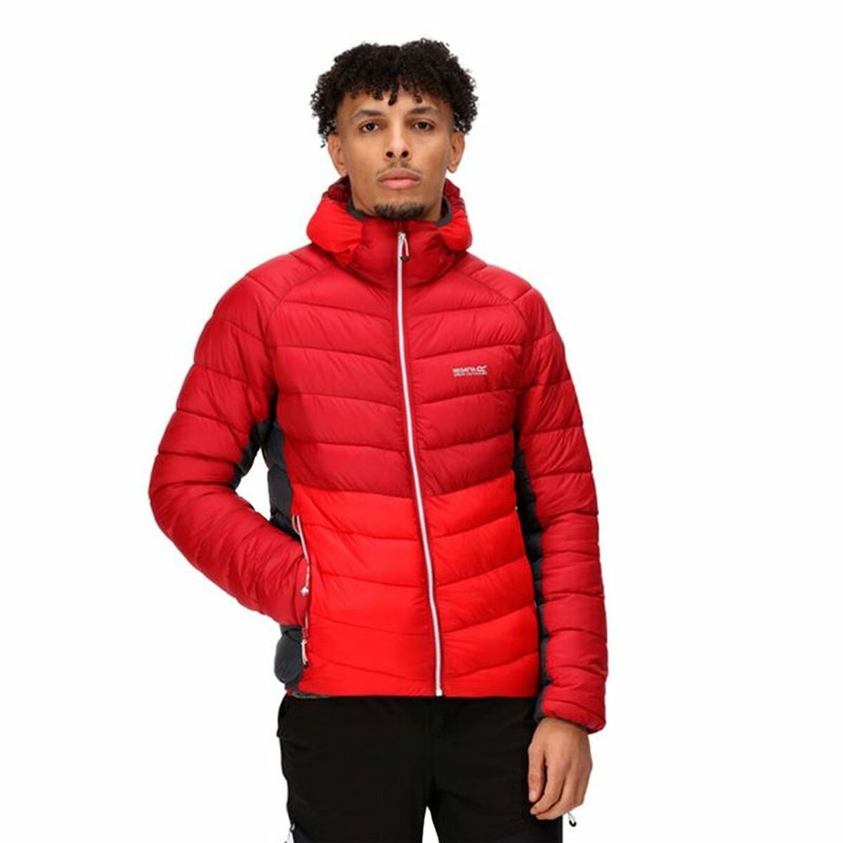 Men’s Sports Jacket Regatta Harrock Red