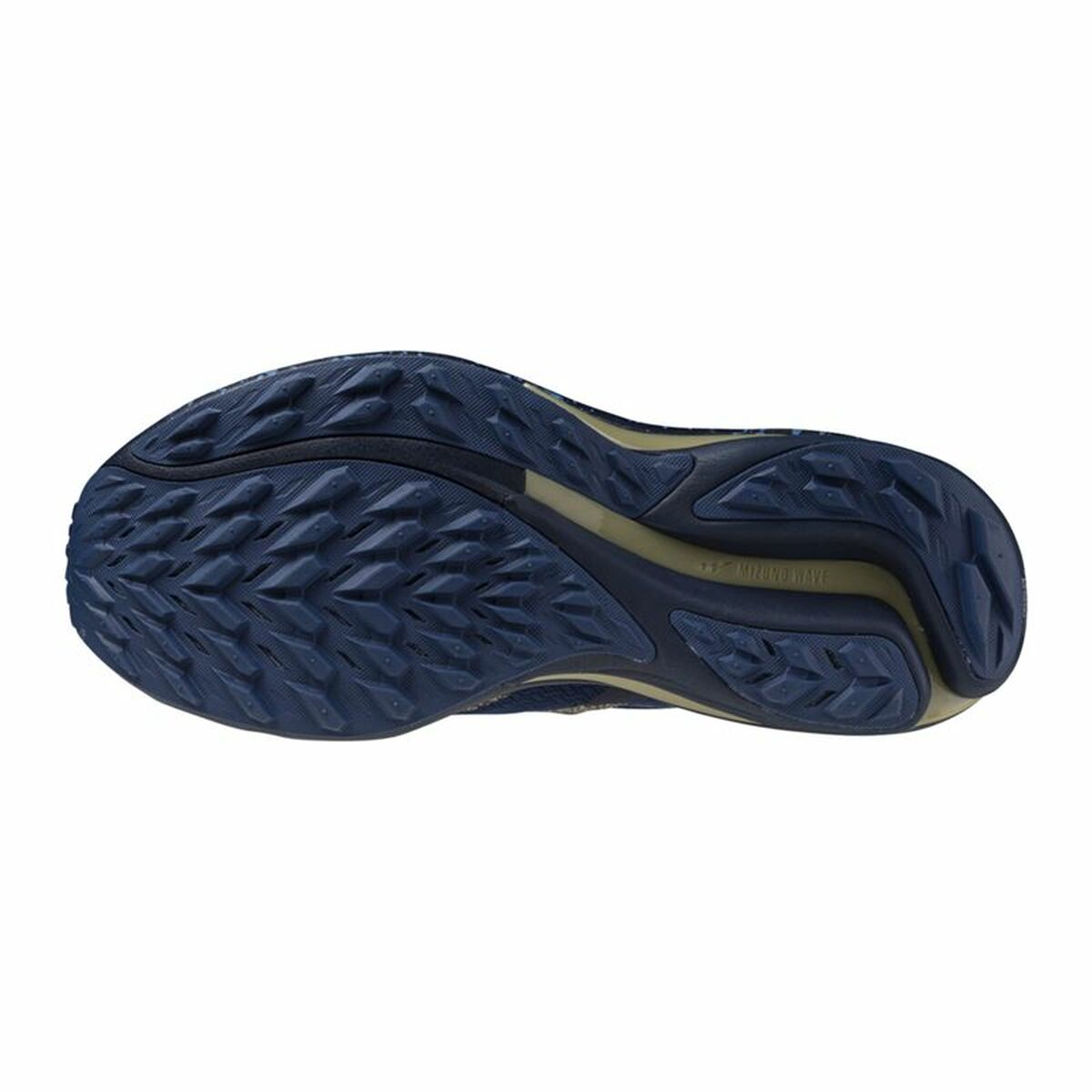 Men’s Trainers Mizuno Wave Rider Tt 2 Blue