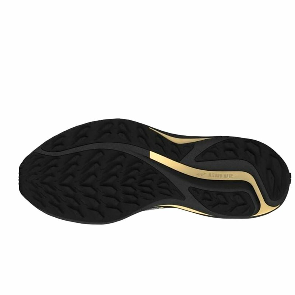 Men’s Trainers Mizuno Wave Rider Gtx 2