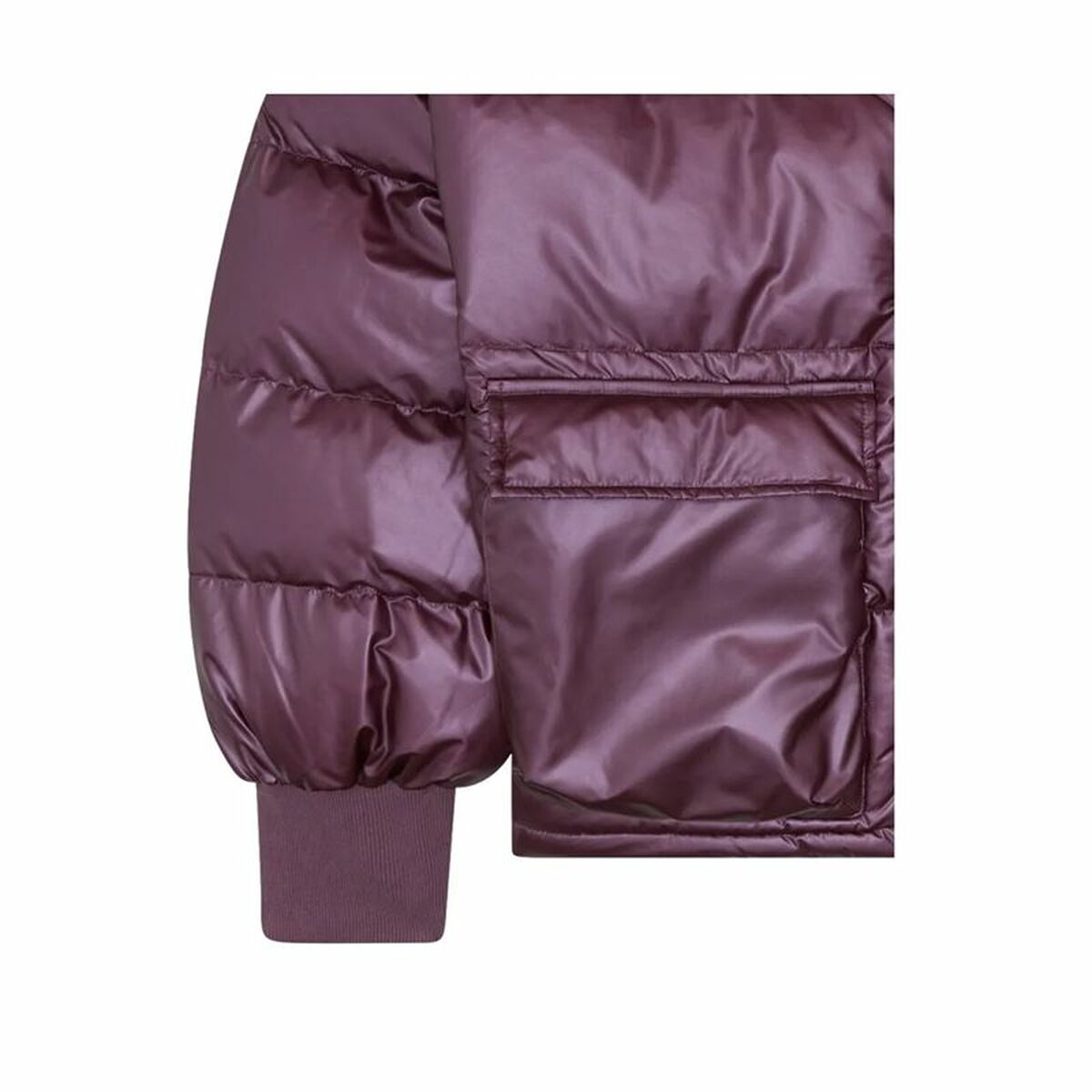 Women’s Sports Jacket Ellesse  Vesuvio Purple