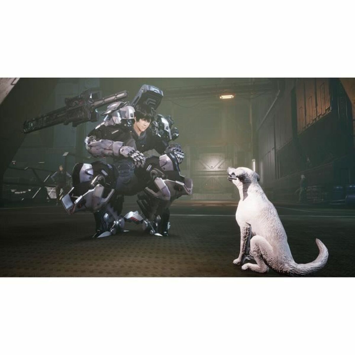 Video game for Switch Just For Games