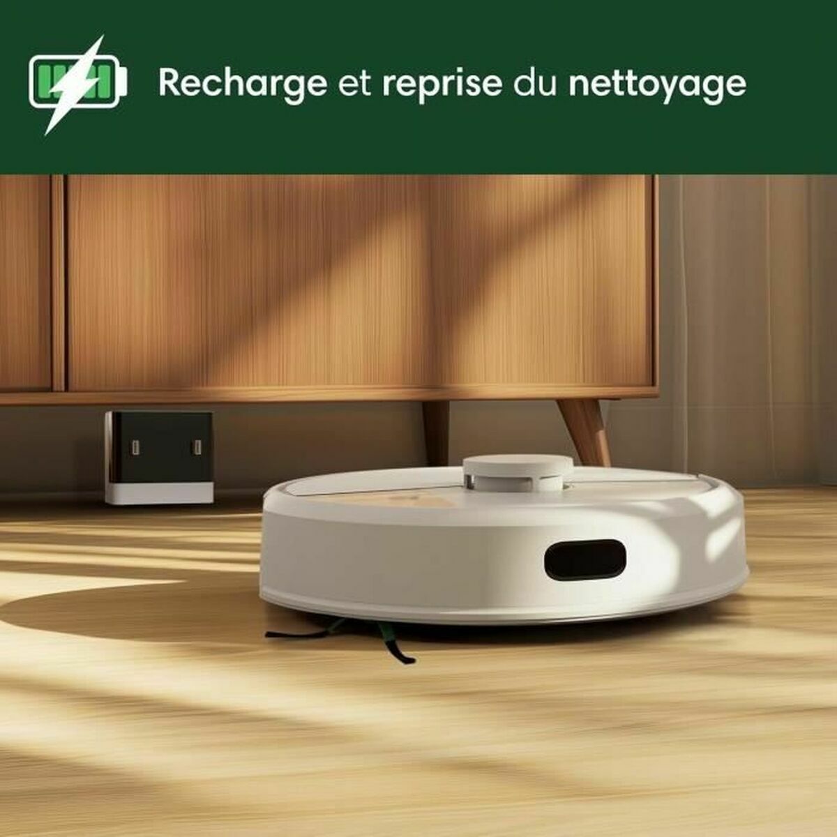 Robot Vacuum Cleaner iRobot