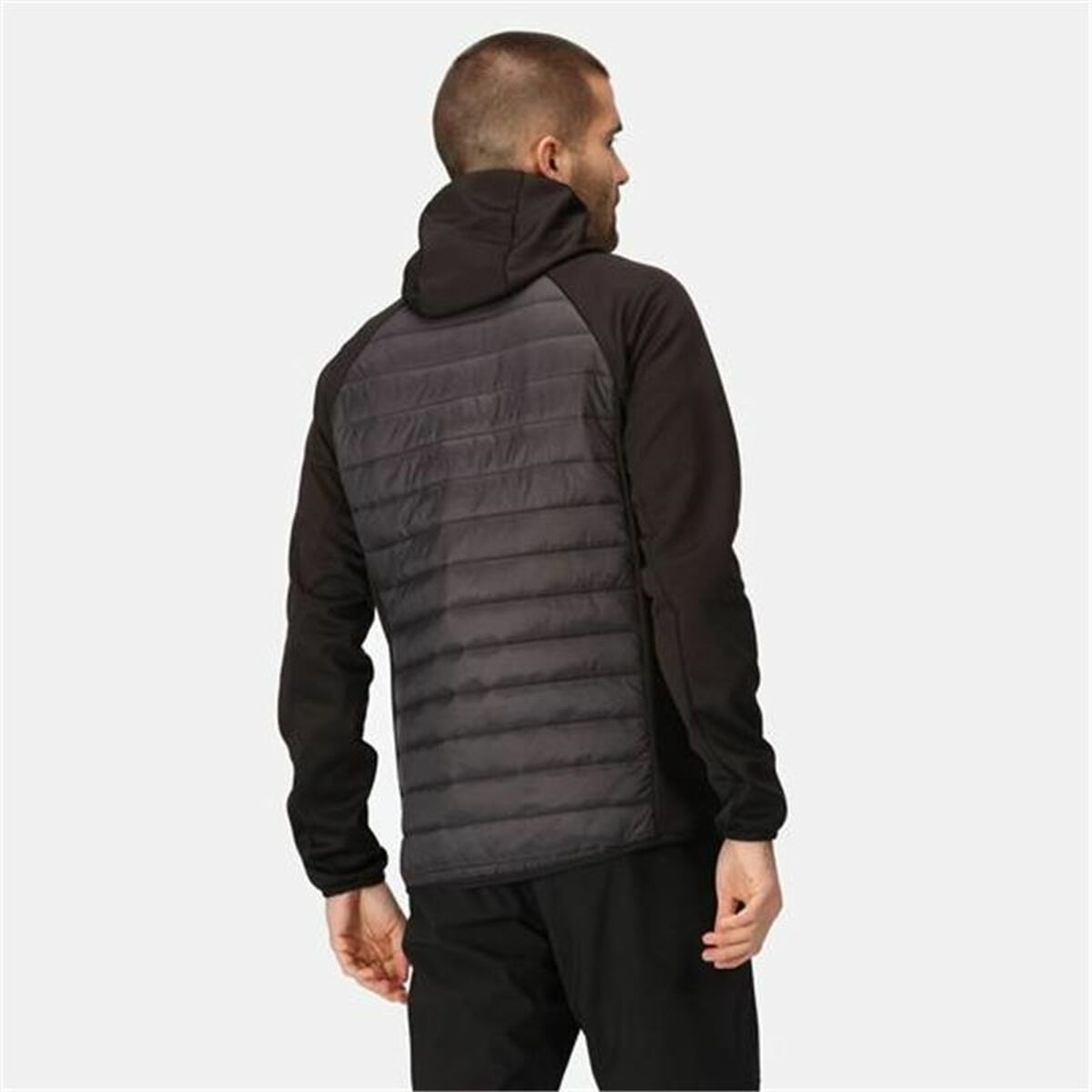 Men’s Sports Jacket Regatta Andreson VIII Hybrid