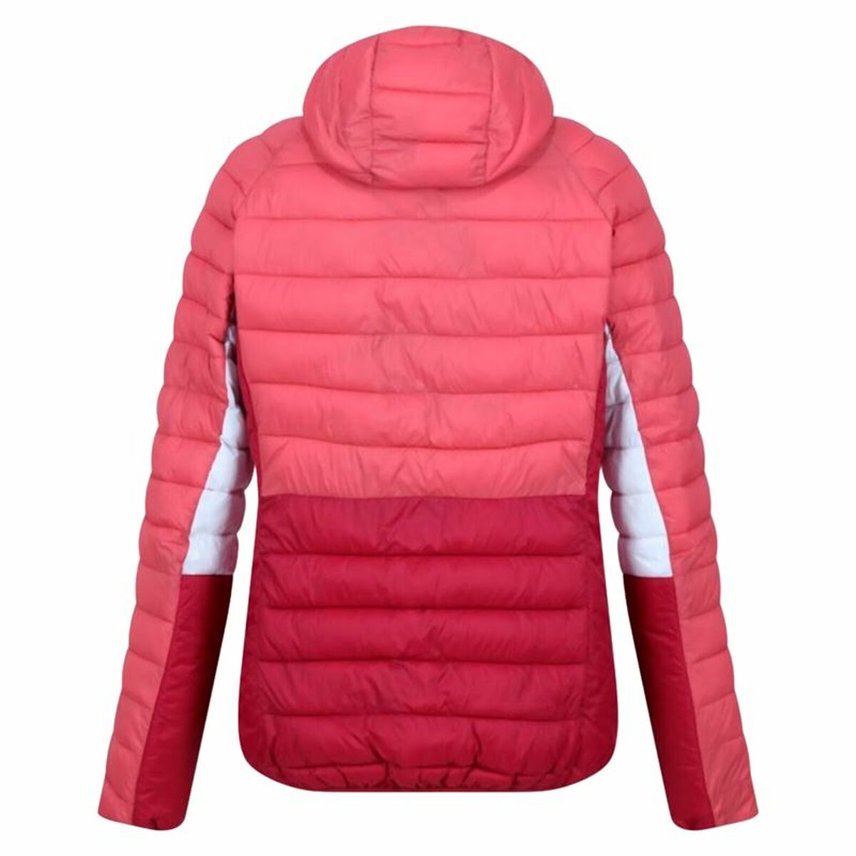 Women’s Sports Jacket Regatta Harrock II Rumba Pink