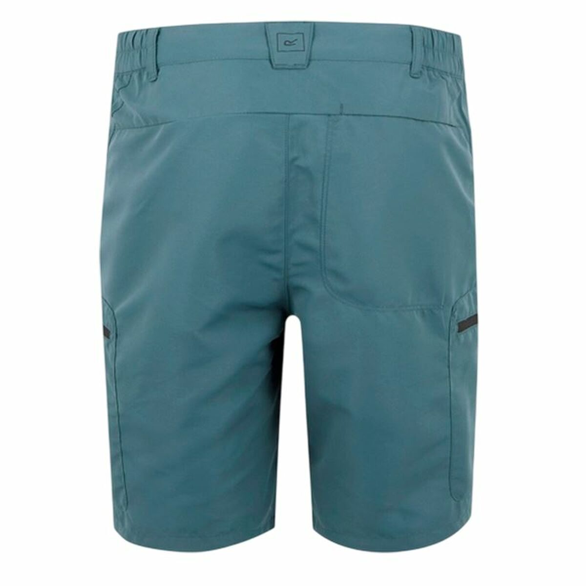 Sports Shorts Regatta LeesvilleShrtIII Moutain