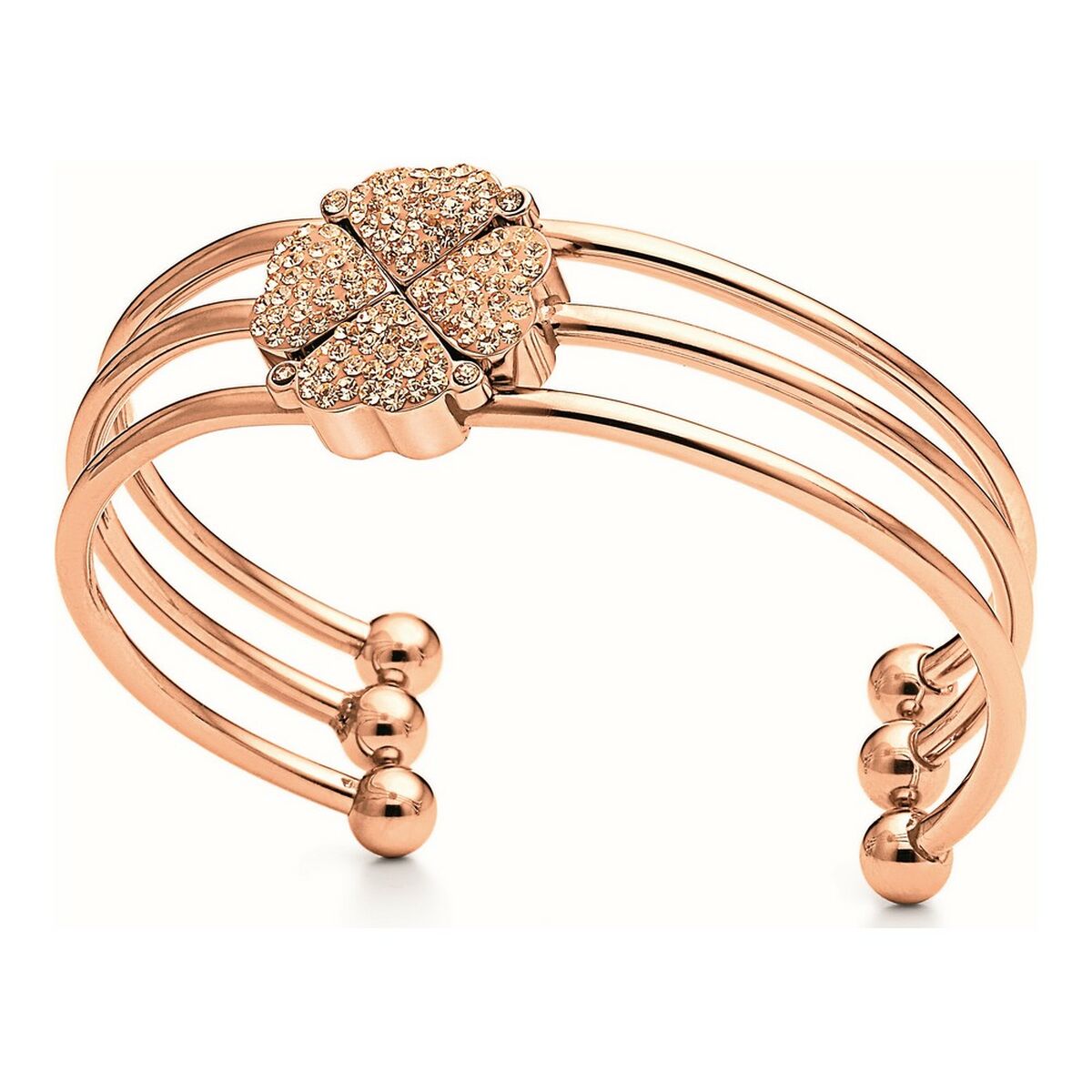 Ladies’ Bracelet Folli Follie 3B0T041R 16 cm