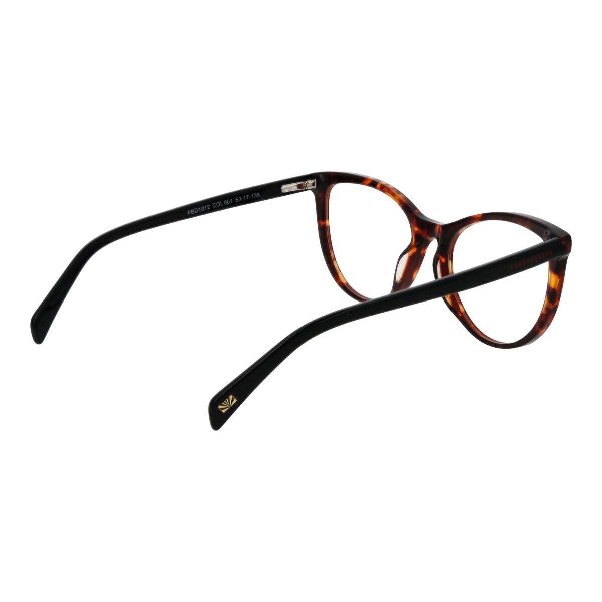 Ladies’ Spectacle frame Funky Buddha FBD1012 53001