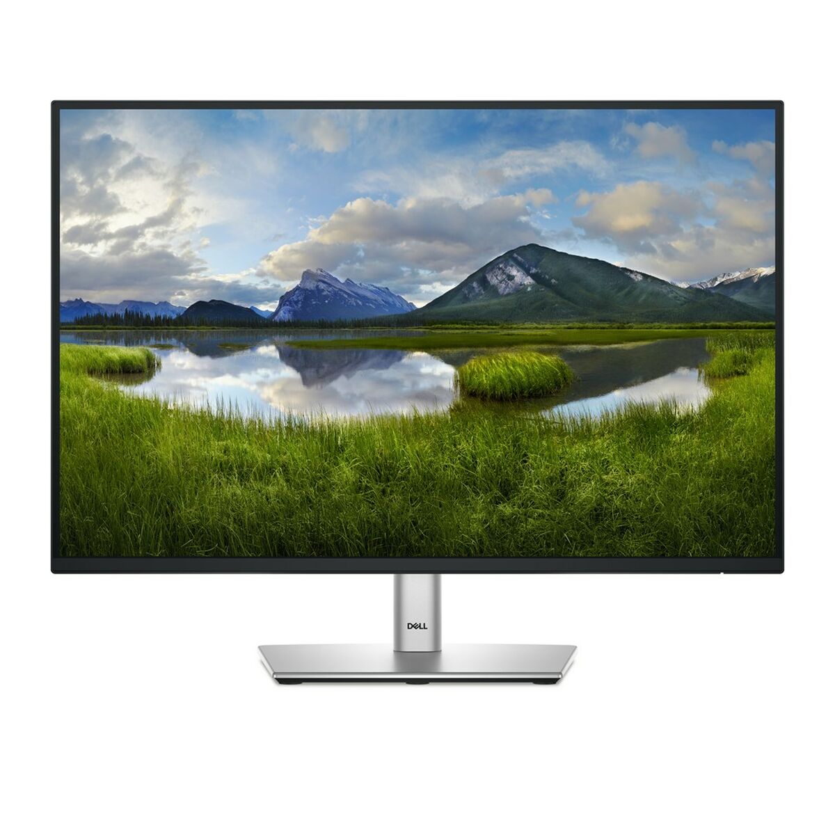 Monitor Dell P2425  24,1″ HD WUXGA 100 Hz