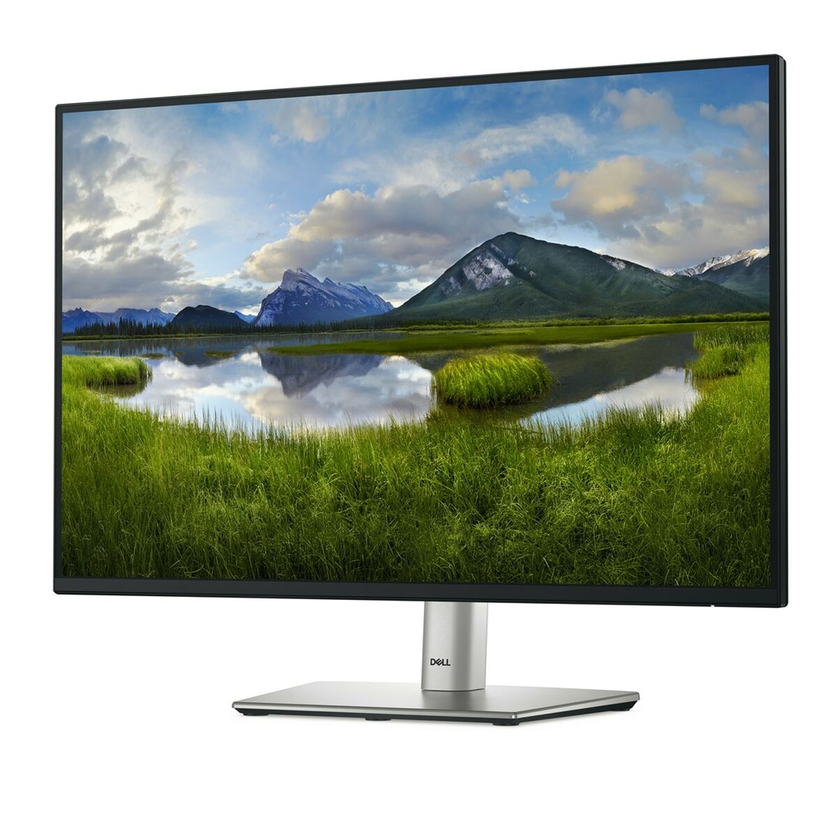 Monitor Dell P2425  24,1″ HD WUXGA 100 Hz