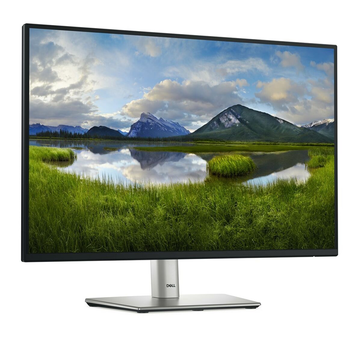 Monitor Dell P2425  24,1″ HD WUXGA 100 Hz