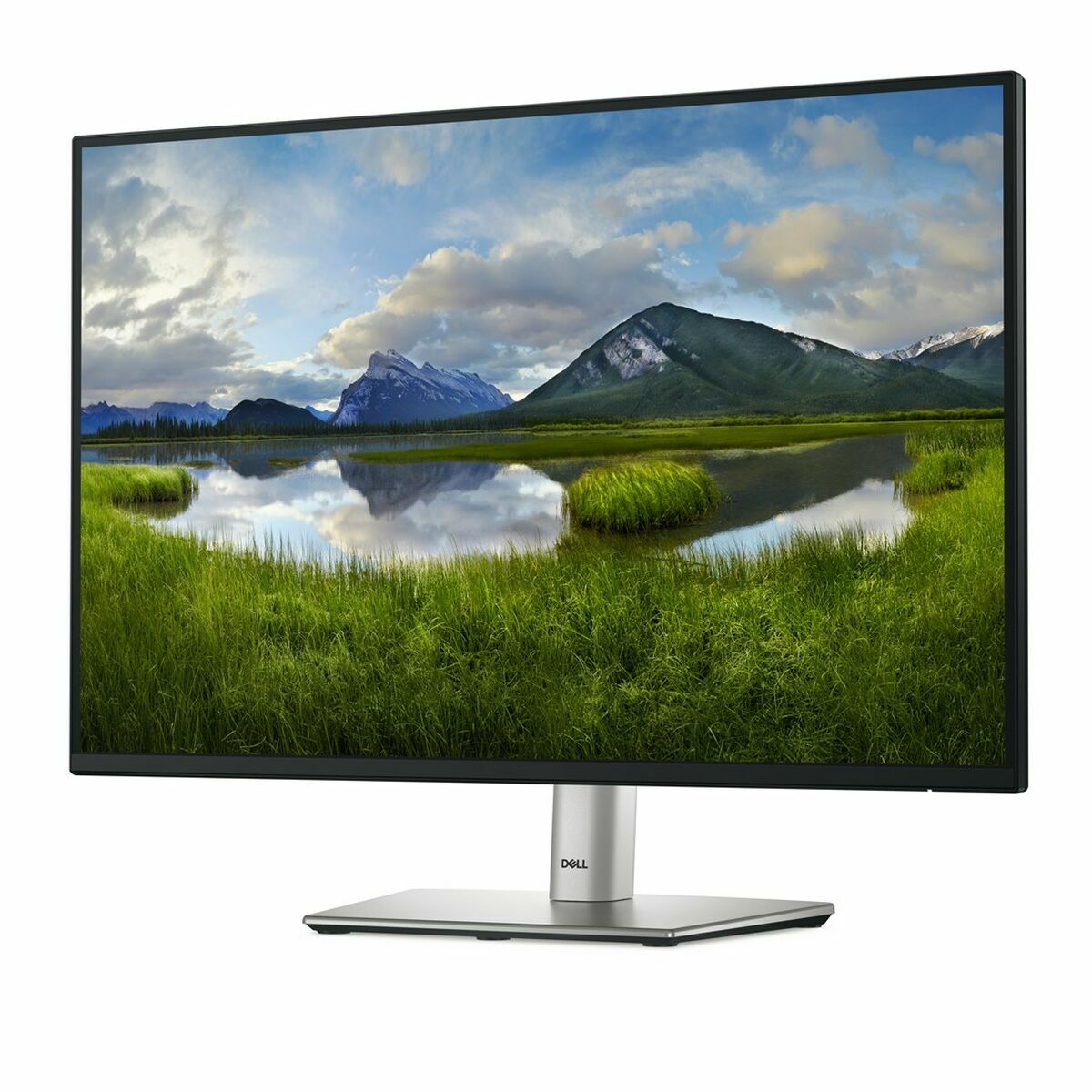 Monitor Dell DELL-P2425E 24″ WUXGA