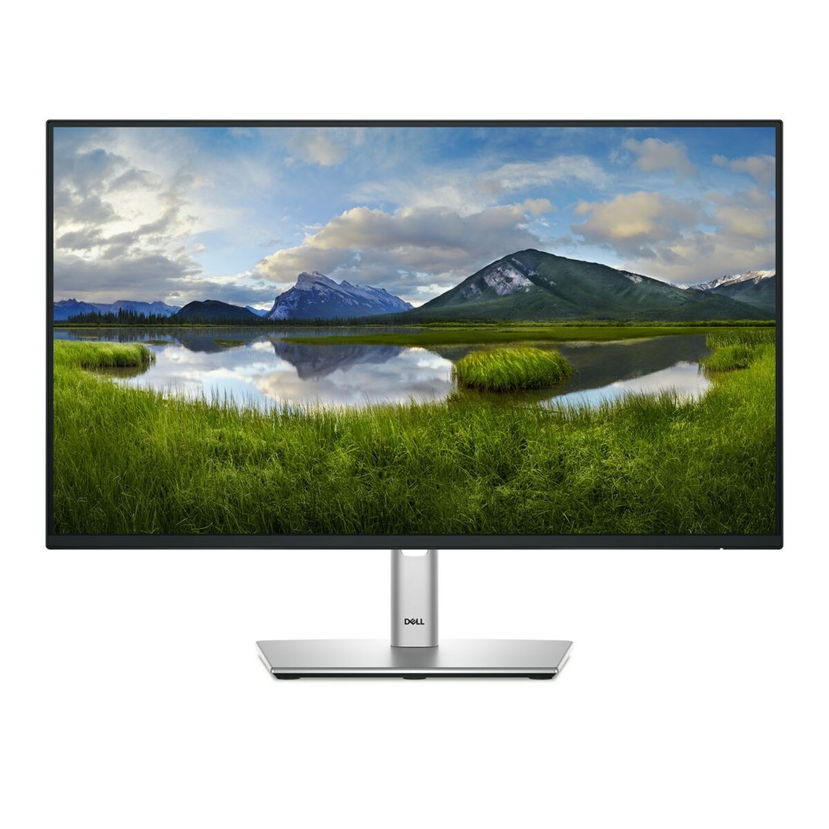 Monitor Dell P2425H Full HD 24″ 100 Hz
