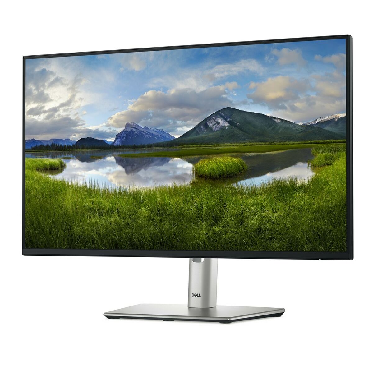 Monitor Dell P2425H Full HD 24″ 100 Hz