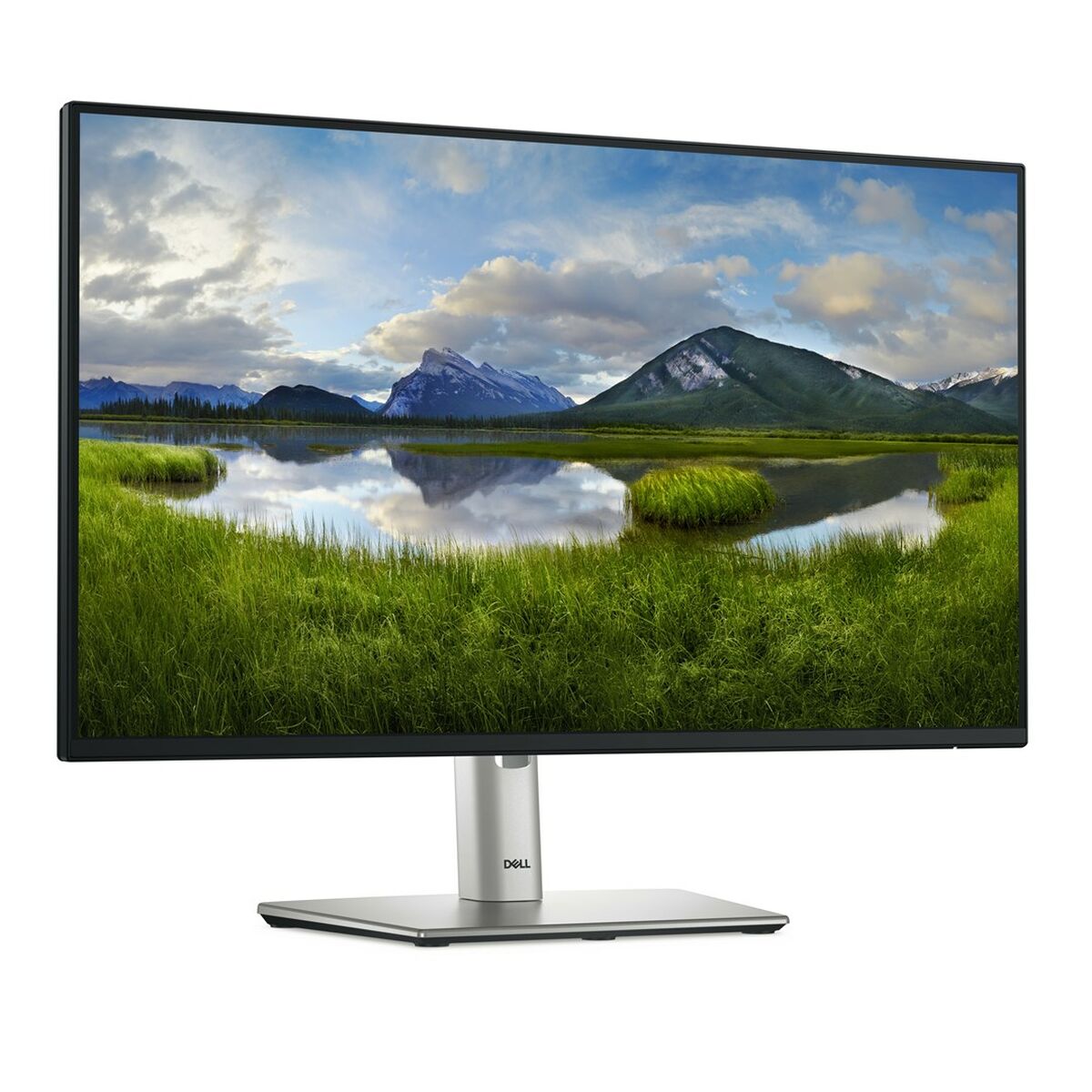 Monitor Dell P2425H Full HD 24″ 100 Hz