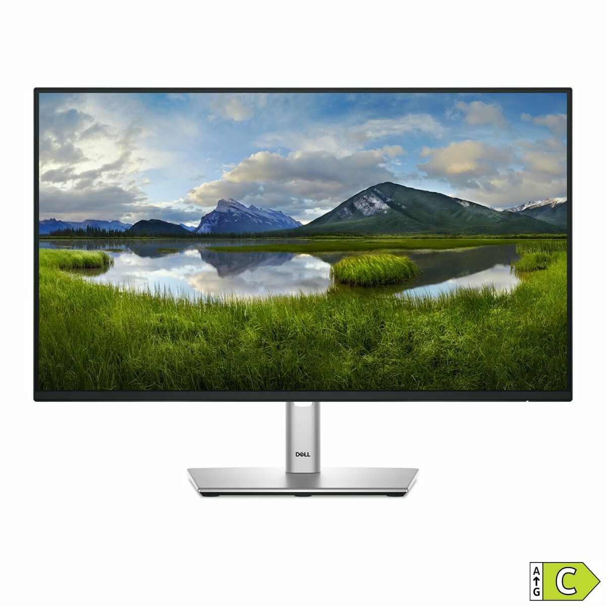 Monitor Dell P2425H Full HD 24″ 100 Hz
