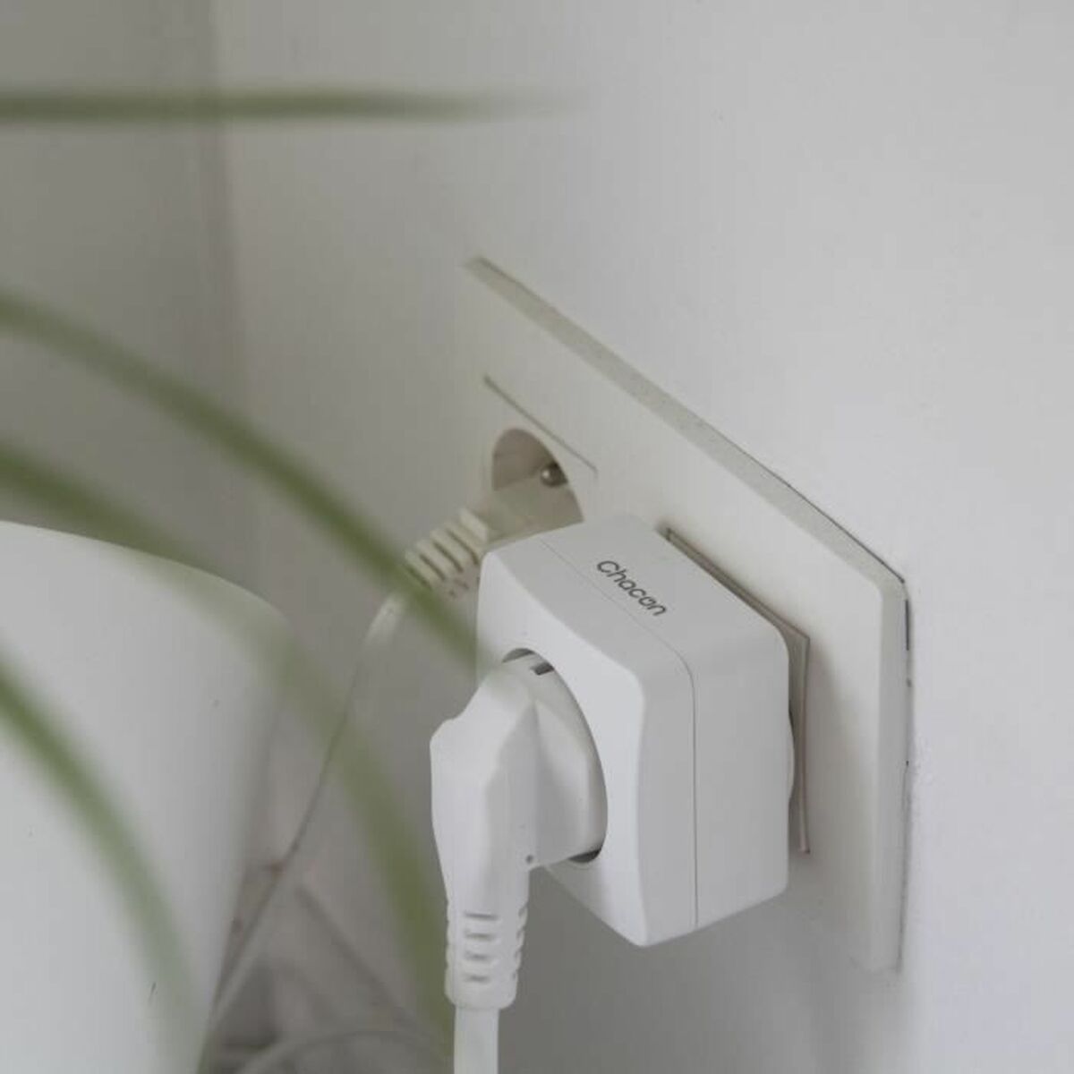 Toner Chacon White (2 Units)