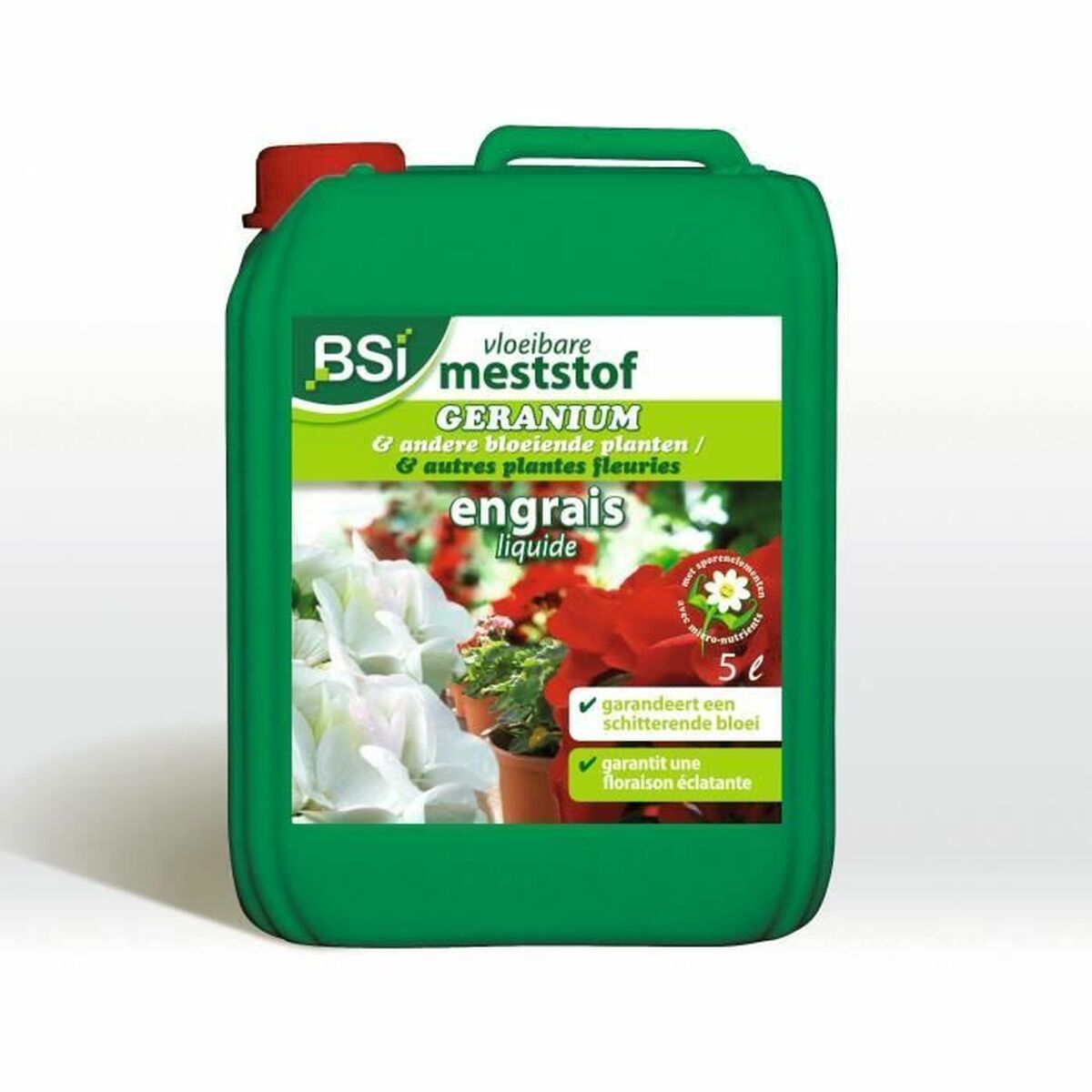Organic fertiliser BSI Boxwood Species 5 L Organic fertiliser BSI Boxwood Species 5 L