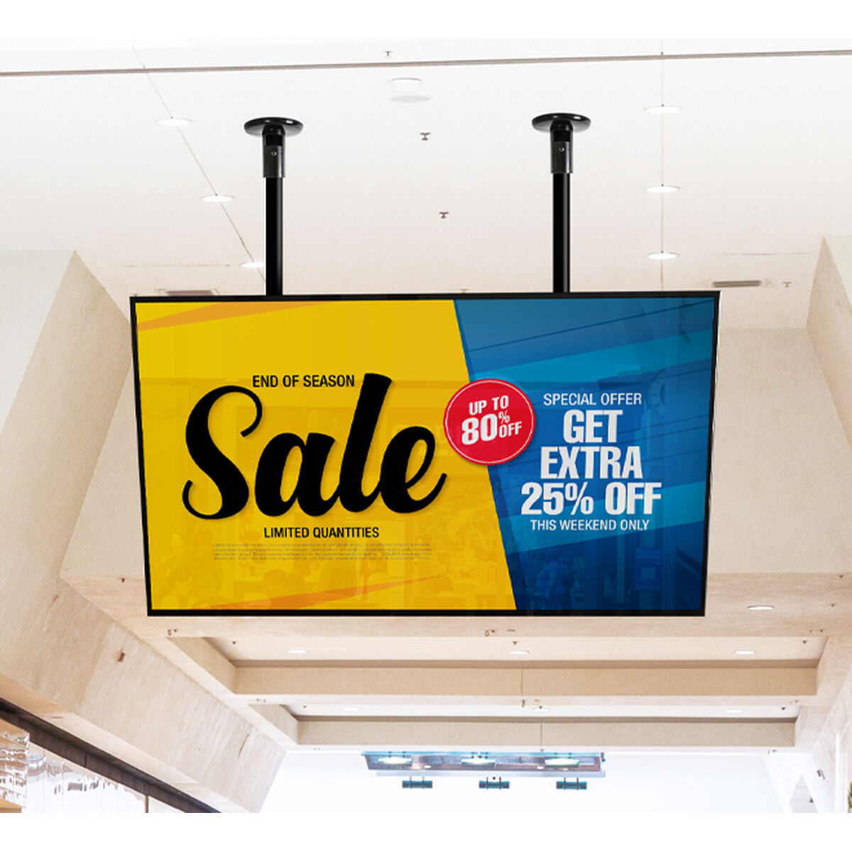 Screen Table Support B-Tech BT9910/B 100″