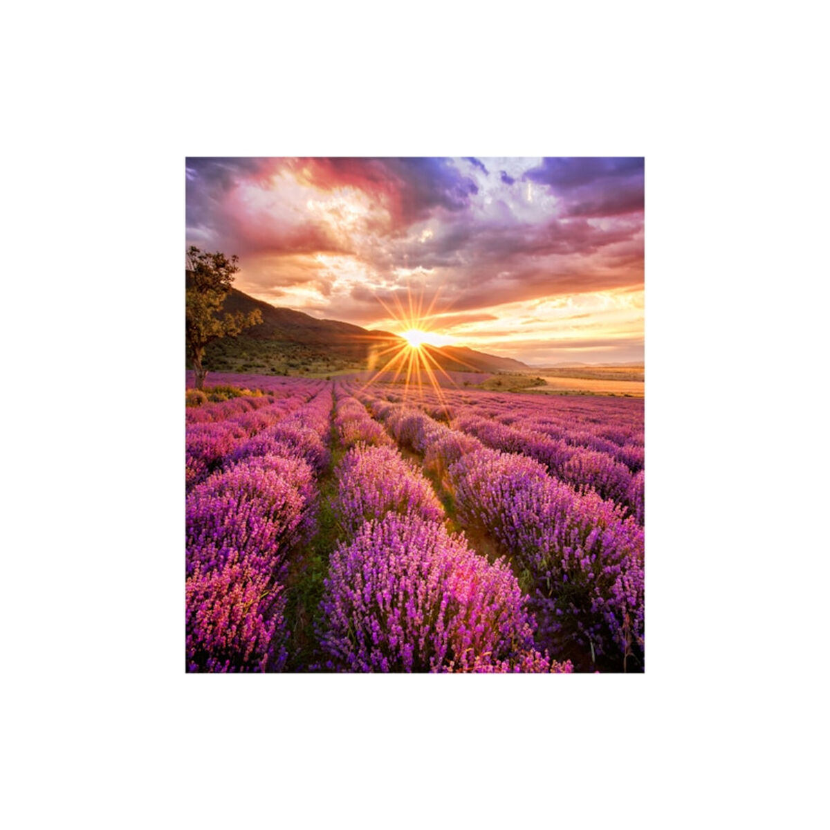 Videowall Monitor Samsung LH025IFHBAS/EN Videowall Monitor Samsung LH025IFHBAS/EN