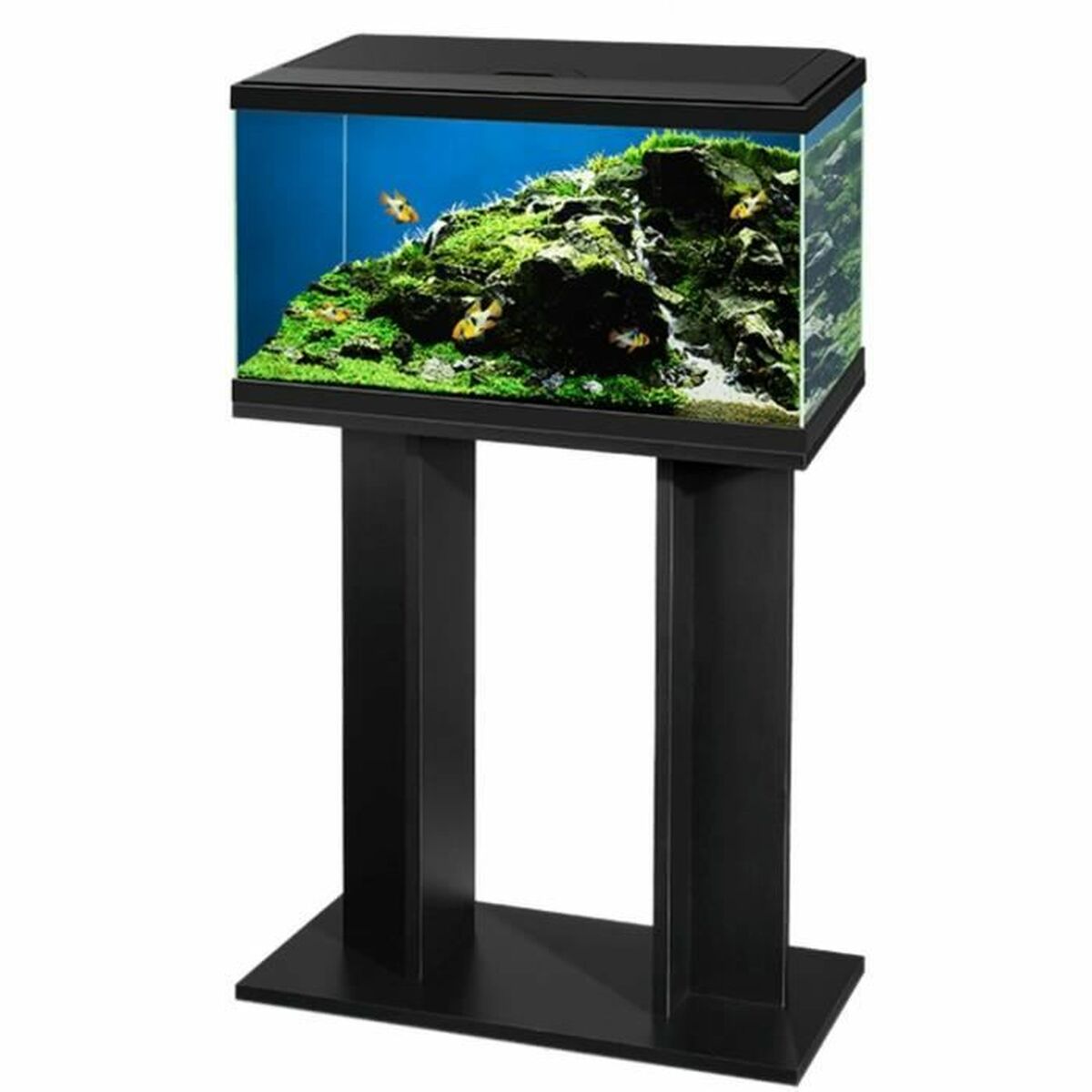 Cupboard Ciano Black Cupboard Ciano Black
