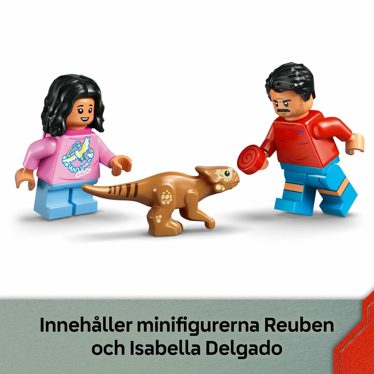 Construction set Lego 76972