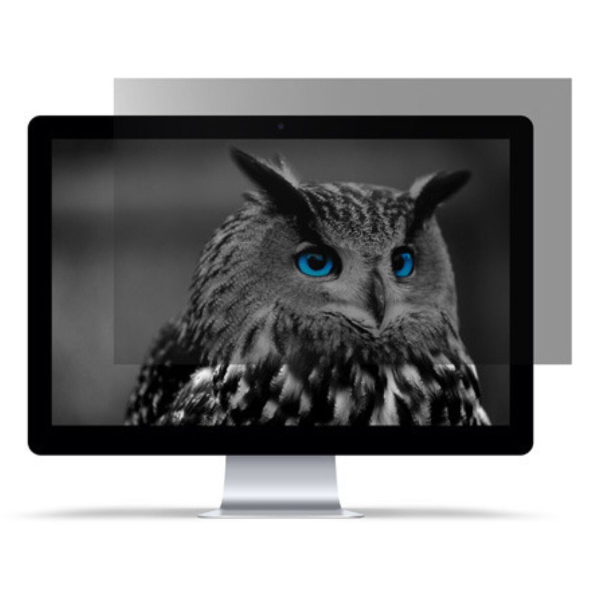 Privacy Filter for Monitor Natec NFP-2288 Privacy Filter for Monitor Natec NFP-2288
