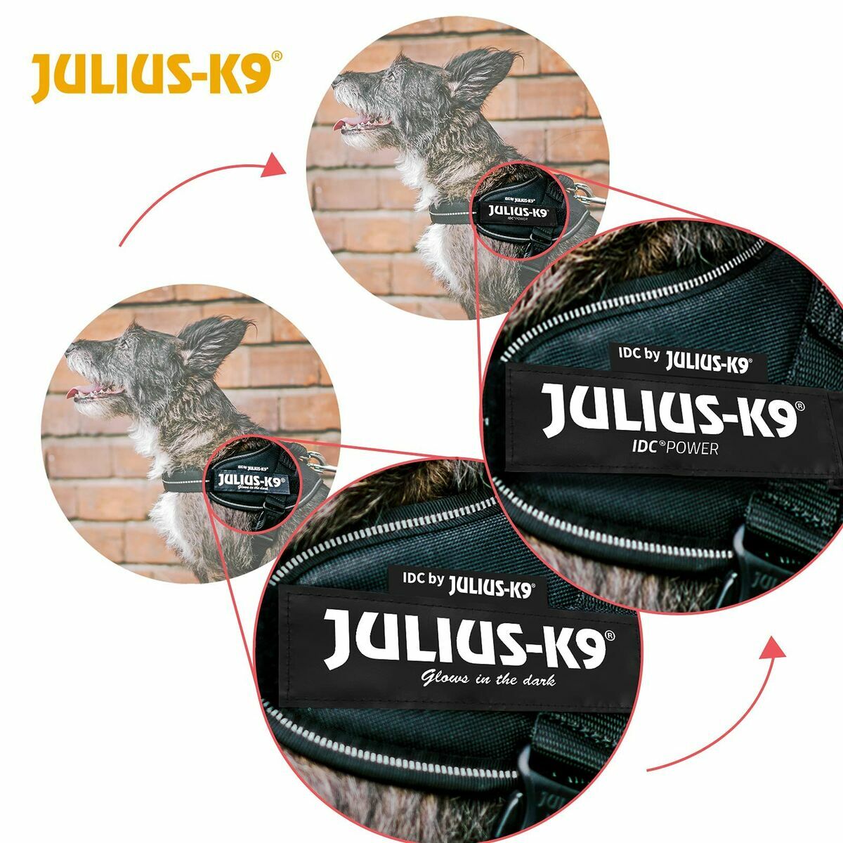 Dog Harness Julius K9 IDC Red S – Mini
