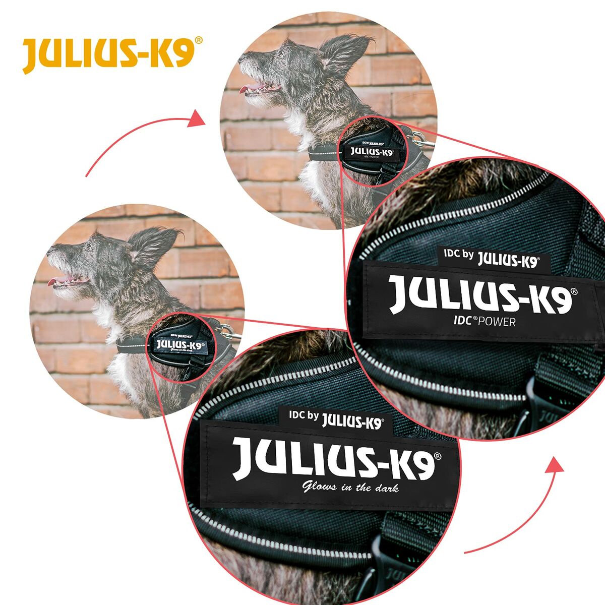 Dog Harness Julius K9 IDC Yellow M/L