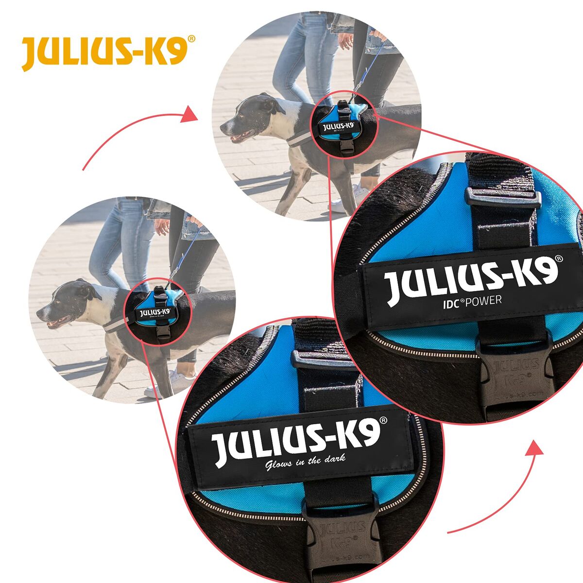 Dog Harness Julius K9