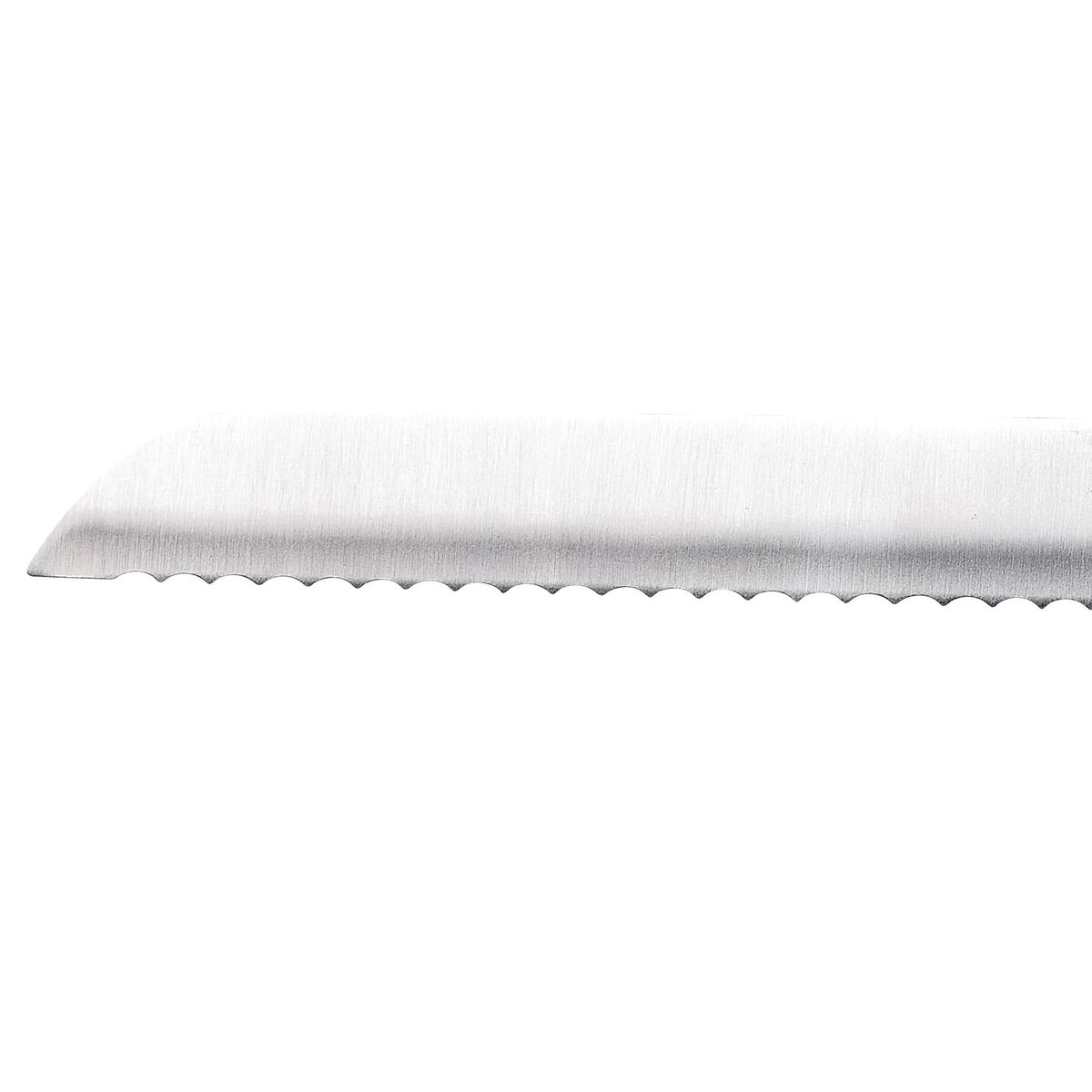 Bread Knife San Ignacio Expert SG41026 Stainless steel ABS 20 cm